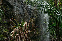 200202 Seychelles - Photo 0266
