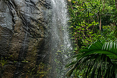 200202 Seychelles - Photo 0267