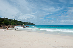200202 Seychelles - Photo 0269