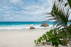 200202 Seychelles - Photo 0271