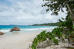 200202 Seychelles - Photo 0272