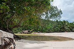 200202 Seychelles - Photo 0273