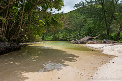 200202 Seychelles - Photo 0274