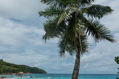 200202 Seychelles - Photo 0275