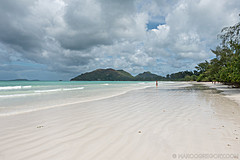 200202 Seychelles - Photo 0279
