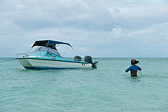 200202 Seychelles - Photo 0284