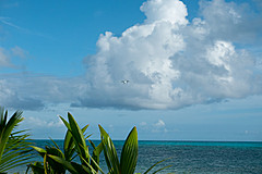 200202 Seychelles - Photo 0285